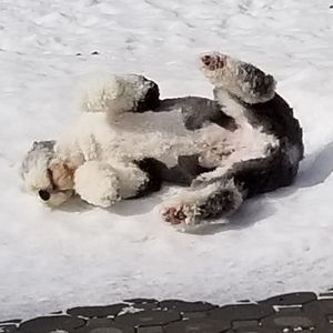 Meet your Posher, Heather